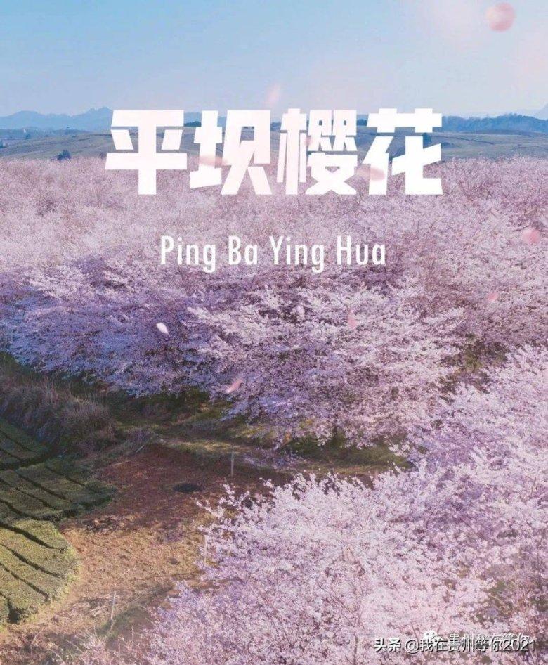 小猫钓鱼游戏龙王版有船