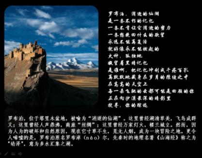 逃离神秘之林